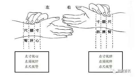 斜飛脈